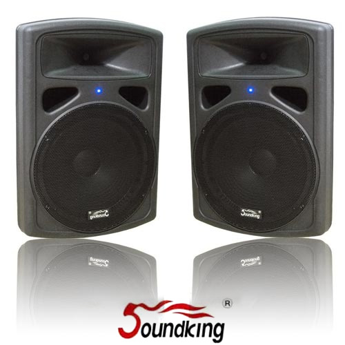 רמקול מוגבר SOUNDKING